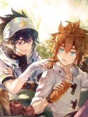 大象网页版